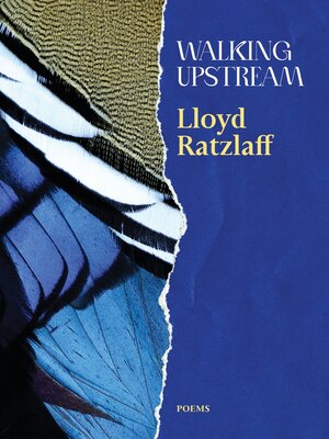 cover image of Walking Upstream